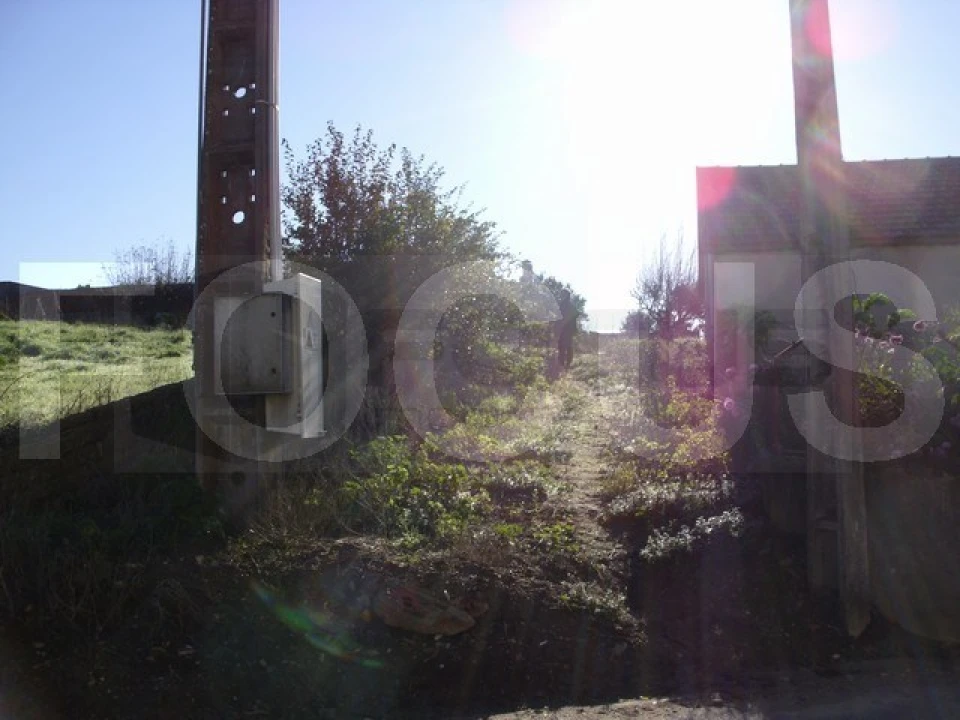 Terreno para Venda em Bustos, Troviscal e Mamarrosa Foto 2