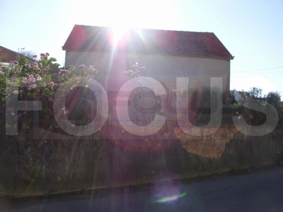 Terreno para Venda em Bustos, Troviscal e Mamarrosa Foto 3