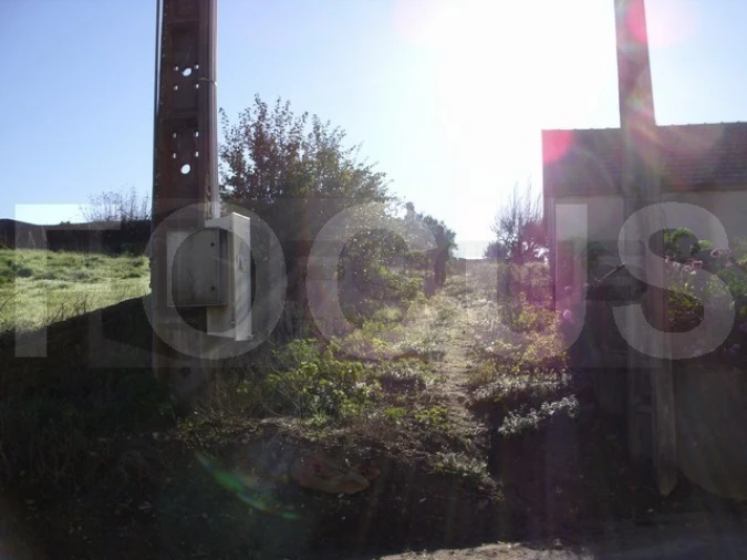 Terreno para Venda em Bustos, Troviscal e Mamarrosa Foto 2