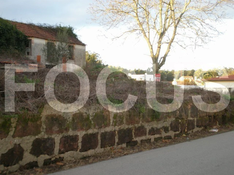 Terreno para Venda em Alquerubim Foto 6