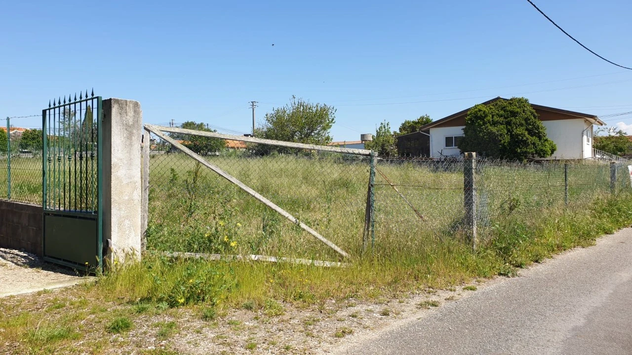 Terreno para Venda em Oiã Foto 1