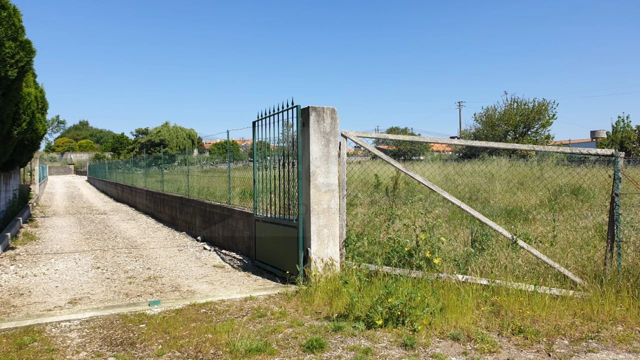 Terreno para Venda em Oiã Foto 2