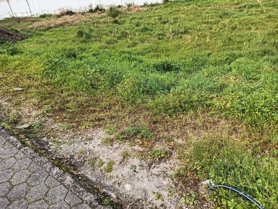 Terreno para Venda em Ílhavo (São Salvador) Foto 3