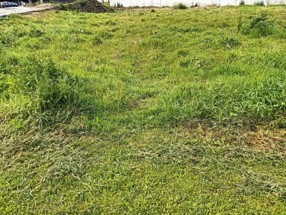 Terreno para Venda em Ílhavo (São Salvador) Foto 4