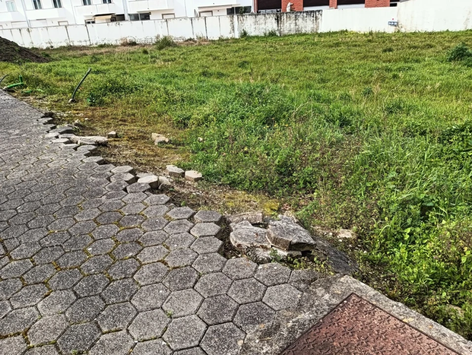 Terreno para Venda em Ílhavo (São Salvador) Foto 5