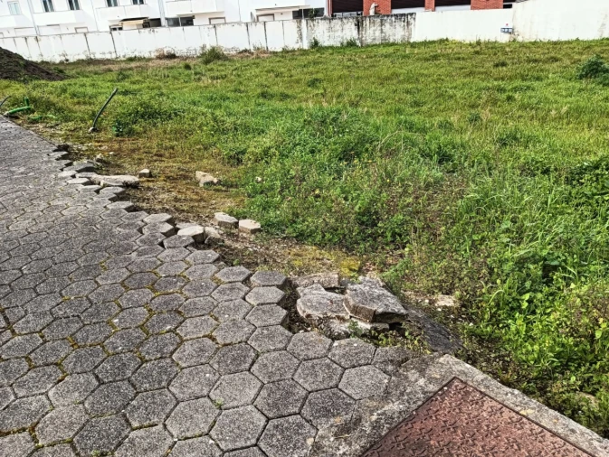 Terreno para Venda em Ílhavo (São Salvador) Foto 5