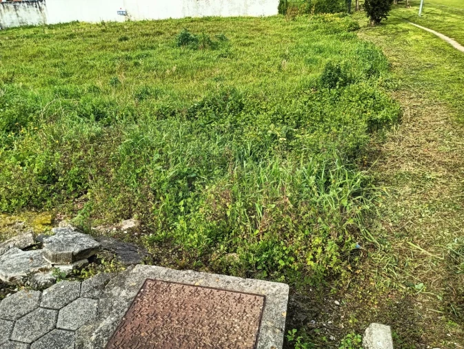Terreno para Venda em Ílhavo (São Salvador) Foto 6