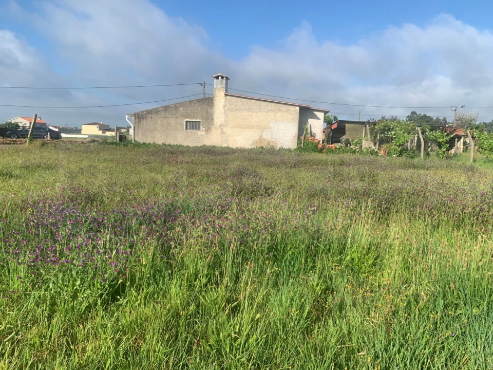 Terreno para Venda em Beduído e Veiros Foto 6