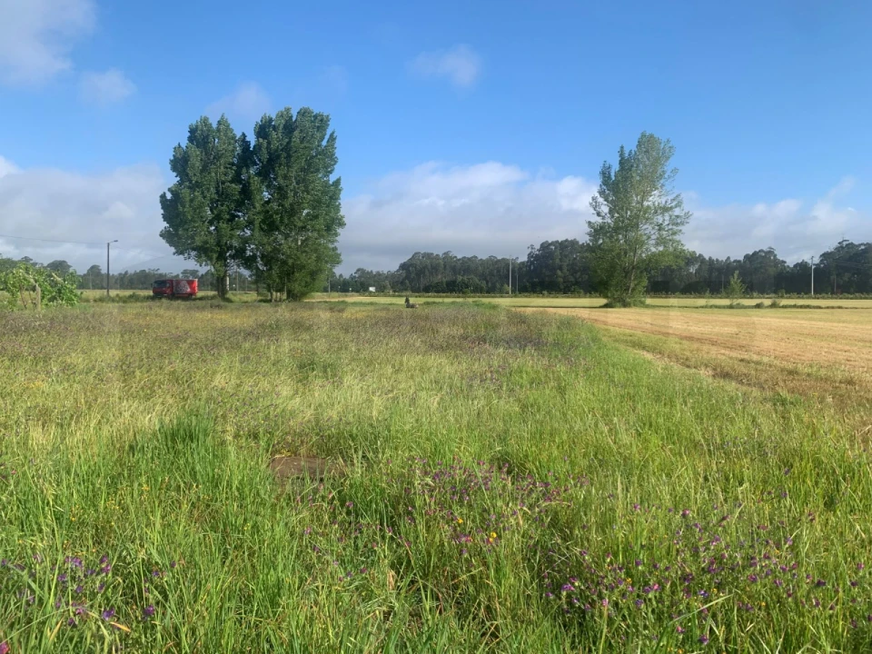 Terreno para Venda em Beduído e Veiros Foto 9