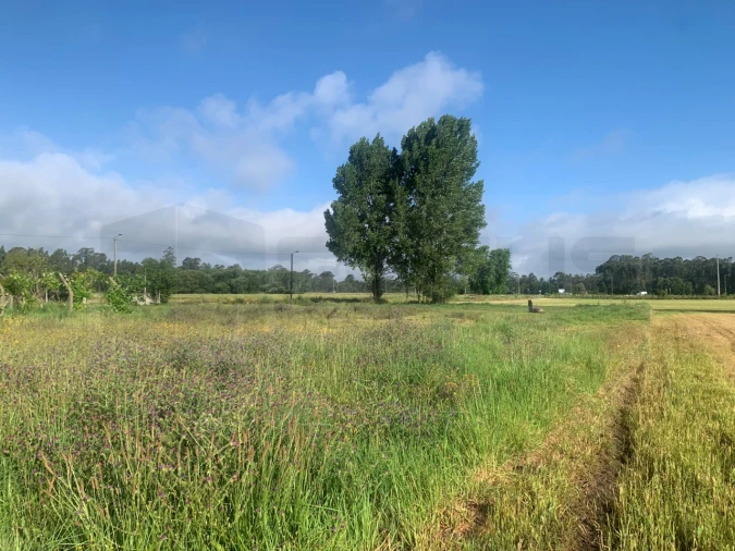 Terreno para Venda em Beduído e Veiros Foto 4