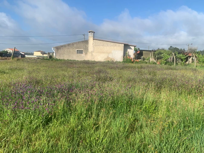 Terreno para Venda em Beduído e Veiros Foto 6