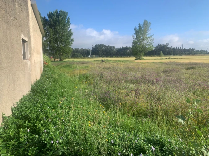 Terreno para Venda em Beduído e Veiros Foto 10