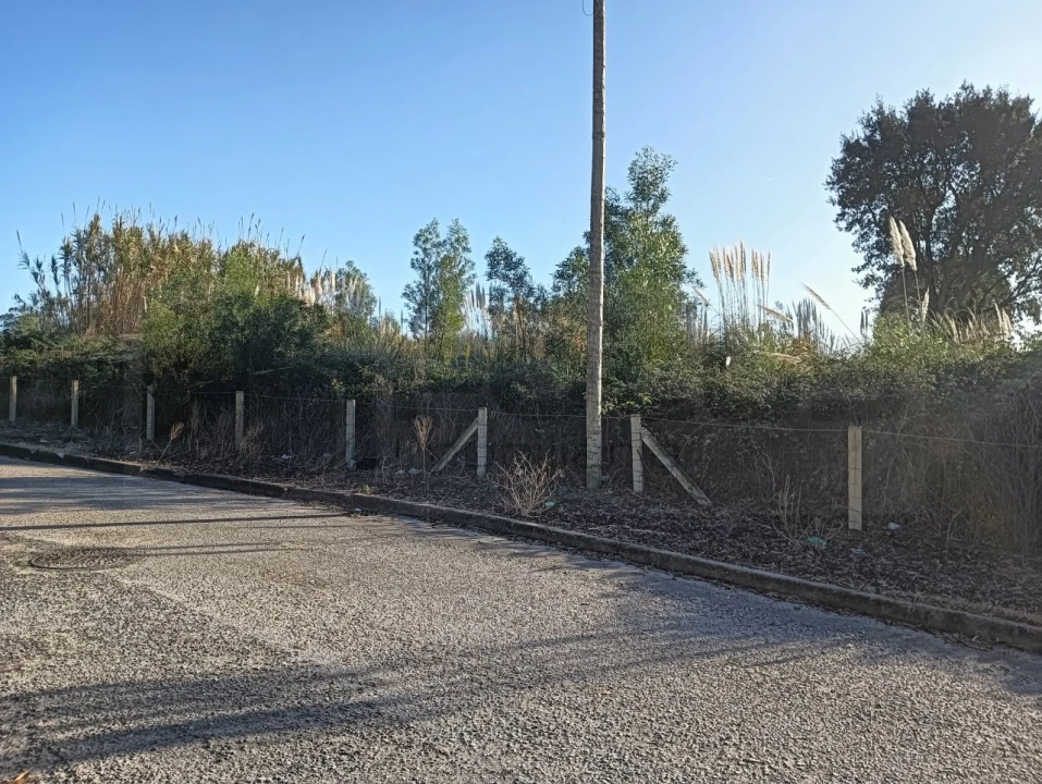 Terreno para Venda em São Bernardo Foto 2