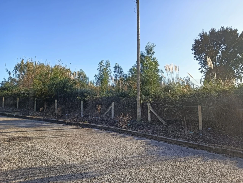 Terreno para Venda em São Bernardo Foto 3
