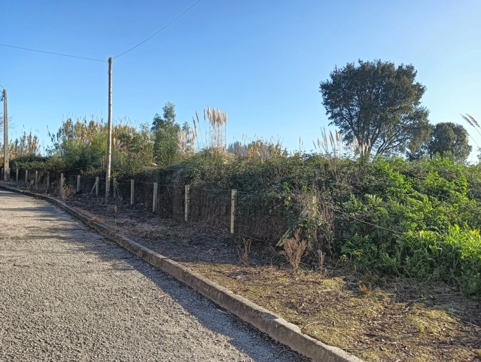 Terreno para Venda em São Bernardo Foto 4