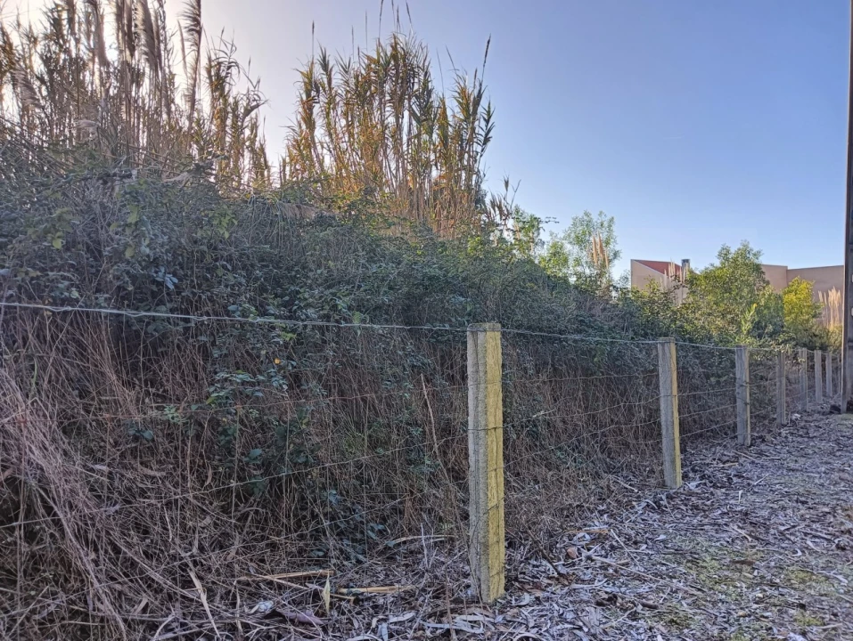Terreno para Venda em São Bernardo Foto 7