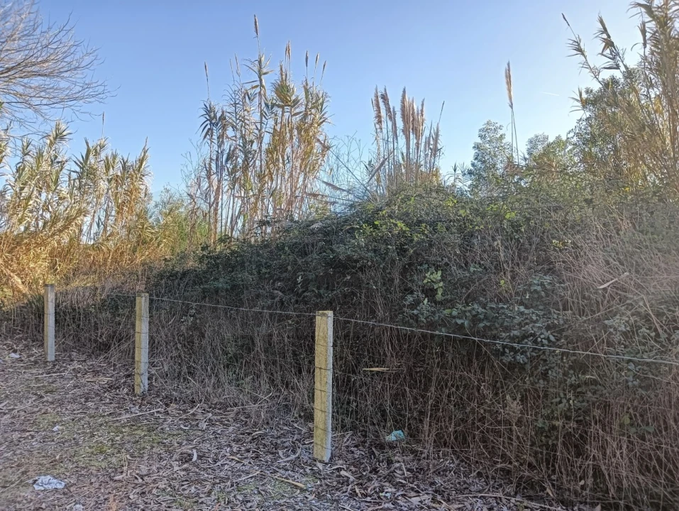 Terreno para Venda em São Bernardo Foto 8