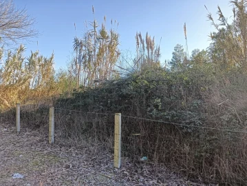 Terreno para Venda em São Bernardo