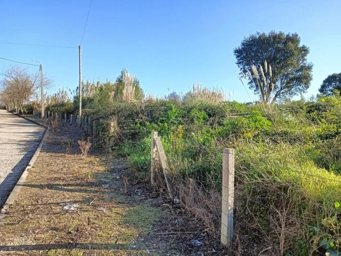 Terreno para Venda em São Bernardo Foto 5