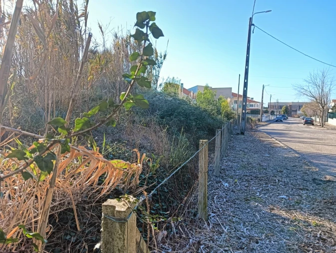 Terreno para Venda em São Bernardo Foto 6