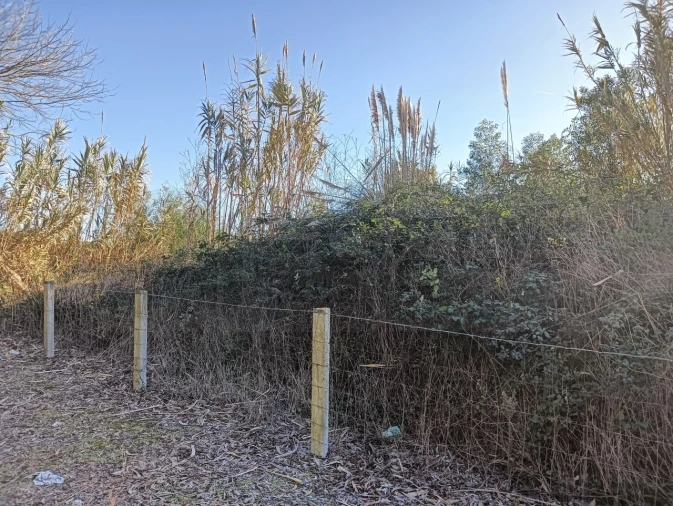 Terreno para Venda em São Bernardo Foto 8
