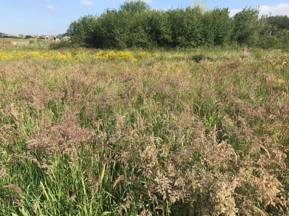 Terreno para Venda em Beduído e Veiros Foto 3