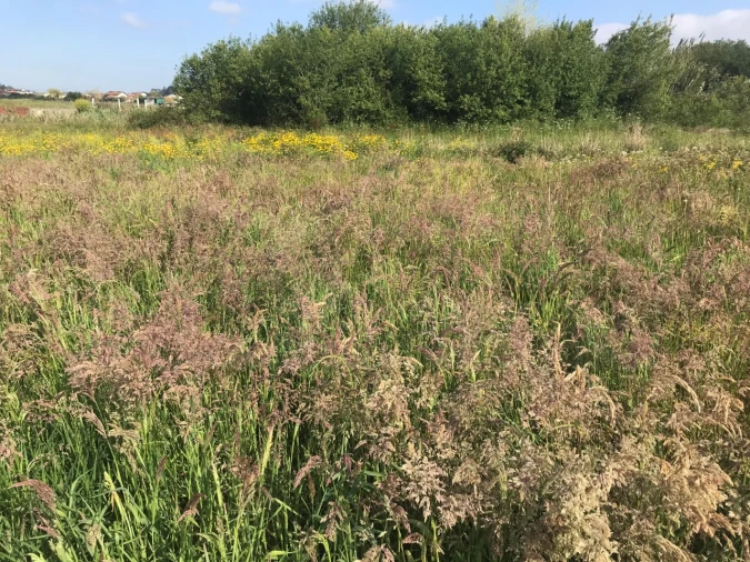 Terreno para Venda em Beduído e Veiros Foto 3
