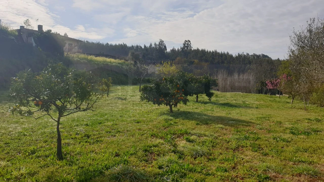 Terreno para Venda em Ribeira de Fraguas Foto 4
