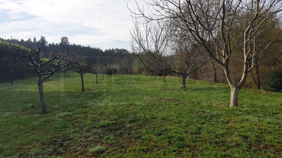 Terreno para Venda em Ribeira de Fraguas Foto 5
