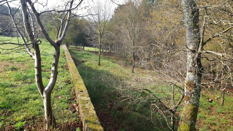 Terreno para Venda em Ribeira de Fraguas Foto 6