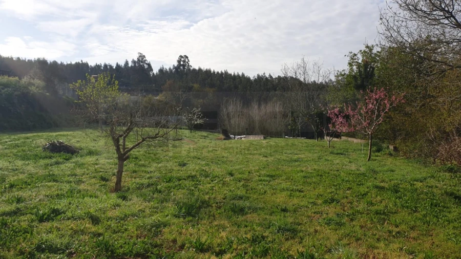 Terreno para Venda em Ribeira de Fraguas Foto 8