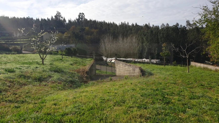 Terreno para Venda em Ribeira de Fraguas Foto 10