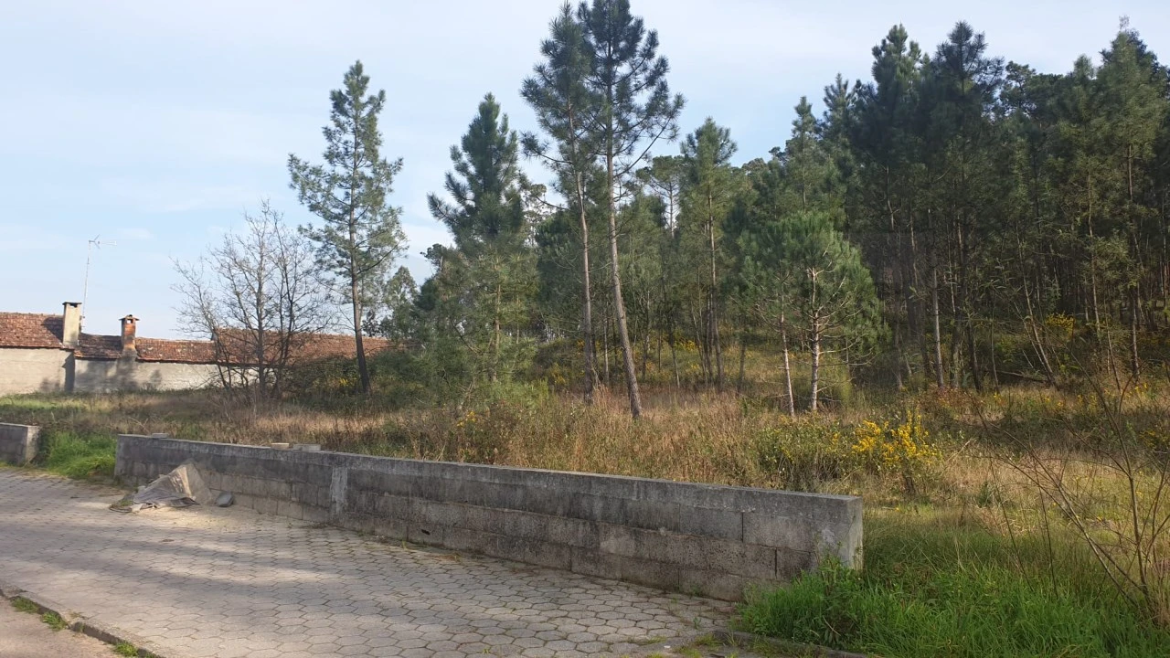 Terreno para Venda em Oliveira do Bairro Foto 1