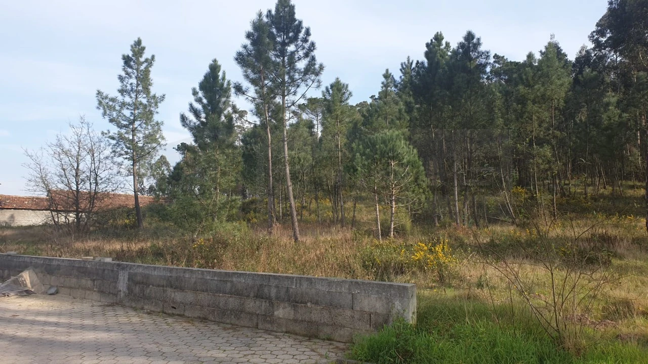 Terreno para Venda em Oliveira do Bairro Foto 3