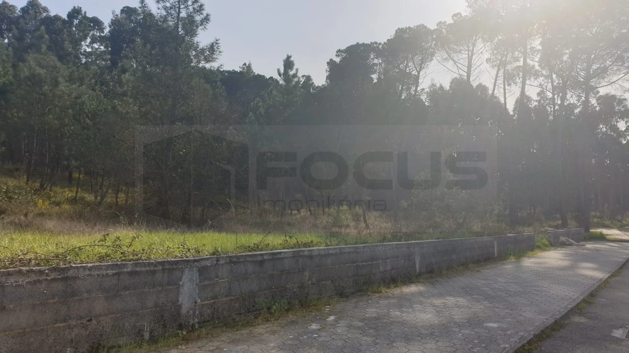 Terreno para Venda em Oliveira do Bairro Foto 4