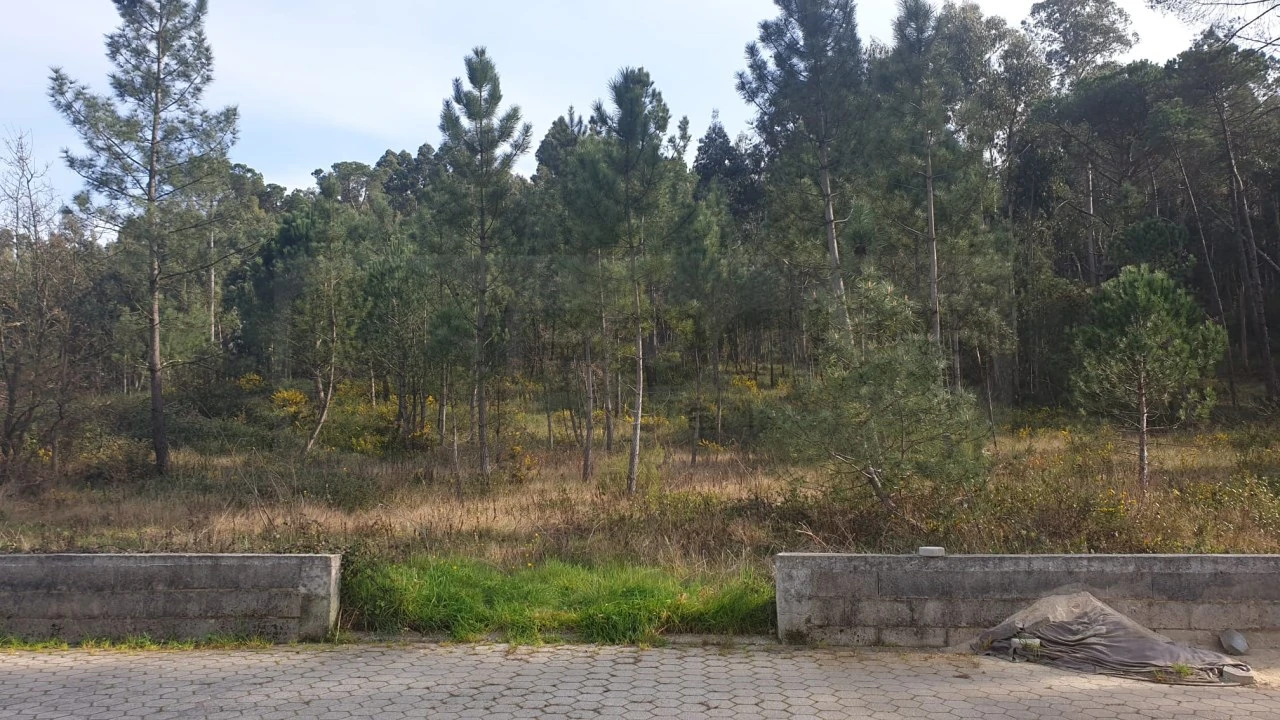 Terreno para Venda em Oliveira do Bairro Foto 5
