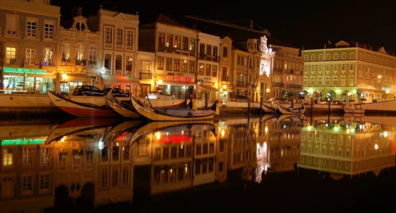 Terreno para Venda em Oliveira do Bairro Foto 12