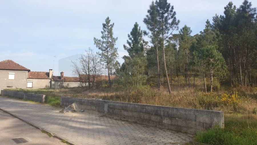 Terreno para Venda em Oliveira do Bairro Foto 6