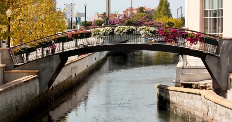 Terreno para Venda em Oliveira do Bairro Foto 17