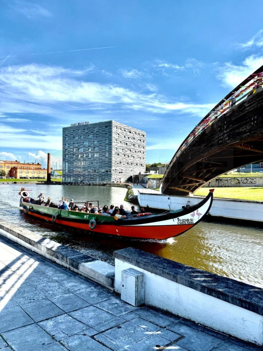Terreno para Venda em Oliveira do Bairro Foto 18