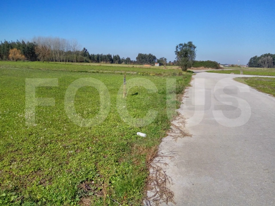 Terreno para Venda em Requeixo, Nossa Senhora de Fátima e Nariz Foto 4