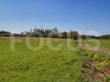 Terreno para Venda em Requeixo, Nossa Senhora de Fátima e Nariz