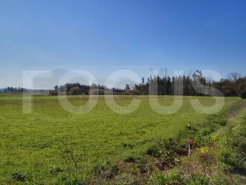 Terreno para Venda em Requeixo, Nossa Senhora de Fátima e Nariz