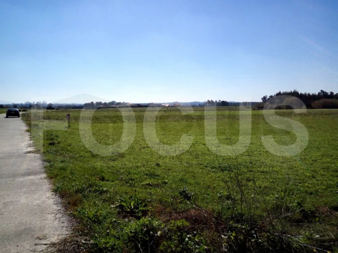 Terreno para Venda em Requeixo, Nossa Senhora de Fátima e Nariz Foto 5