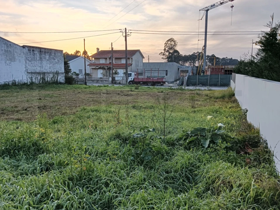 Terreno para Venda em Soza Foto 14