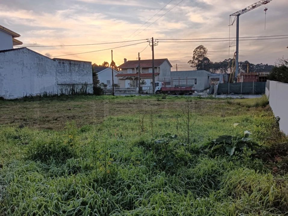 Terreno para Venda em Soza Foto 16