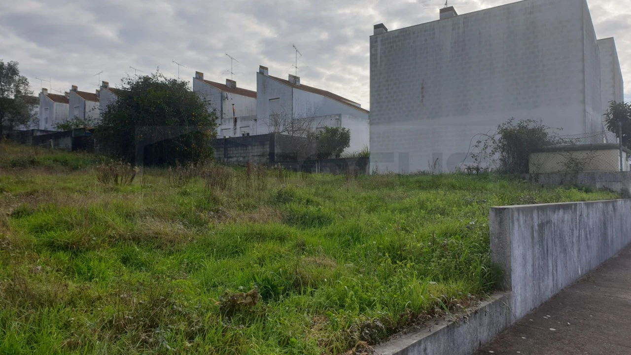 Terreno para Venda em Águeda e Borralha Foto 1