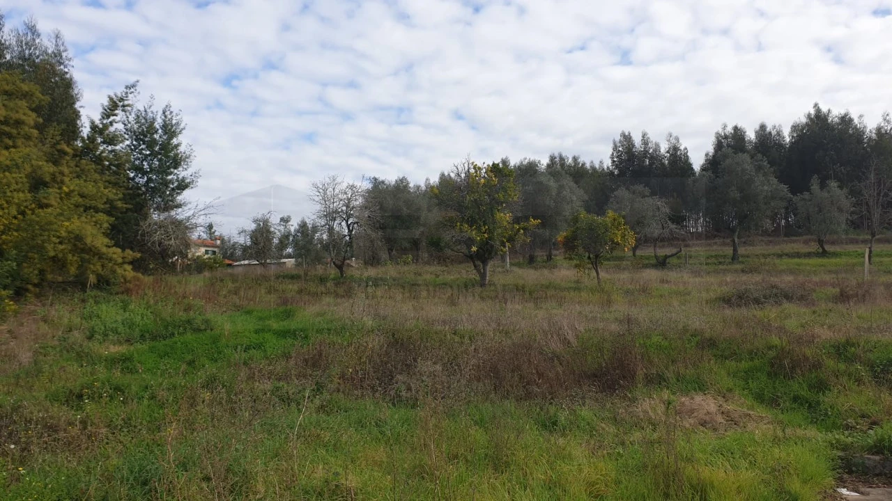 Terreno para Venda em Águeda e Borralha Foto 7