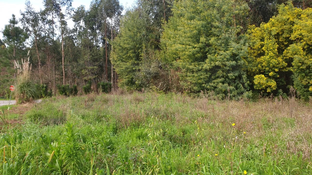 Terreno para Venda em Águeda e Borralha Foto 8