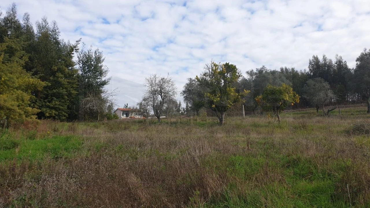 Terreno para Venda em Águeda e Borralha Foto 10